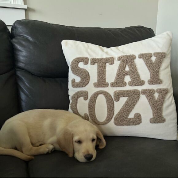 🏈 Betsey Johnson sparkling crystal football studs 🏈 - Picture 2 of 5